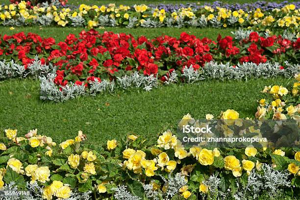 Flowerbed Stockfoto und mehr Bilder von Blume - Blume, Blumenbeet, Blüte