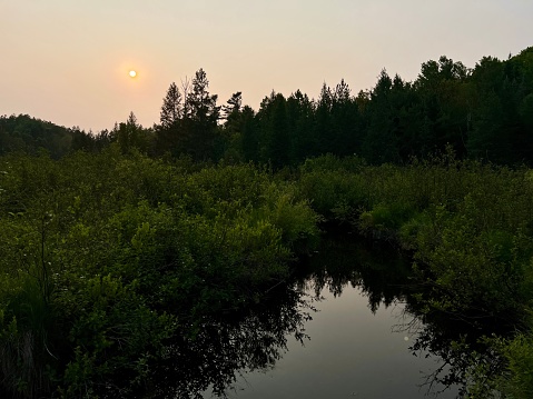 Creek and beautiful forest view with sky and golden hour sunset in Northern Wisconsin. Taken in Pembine, in an extremely secluded spot.