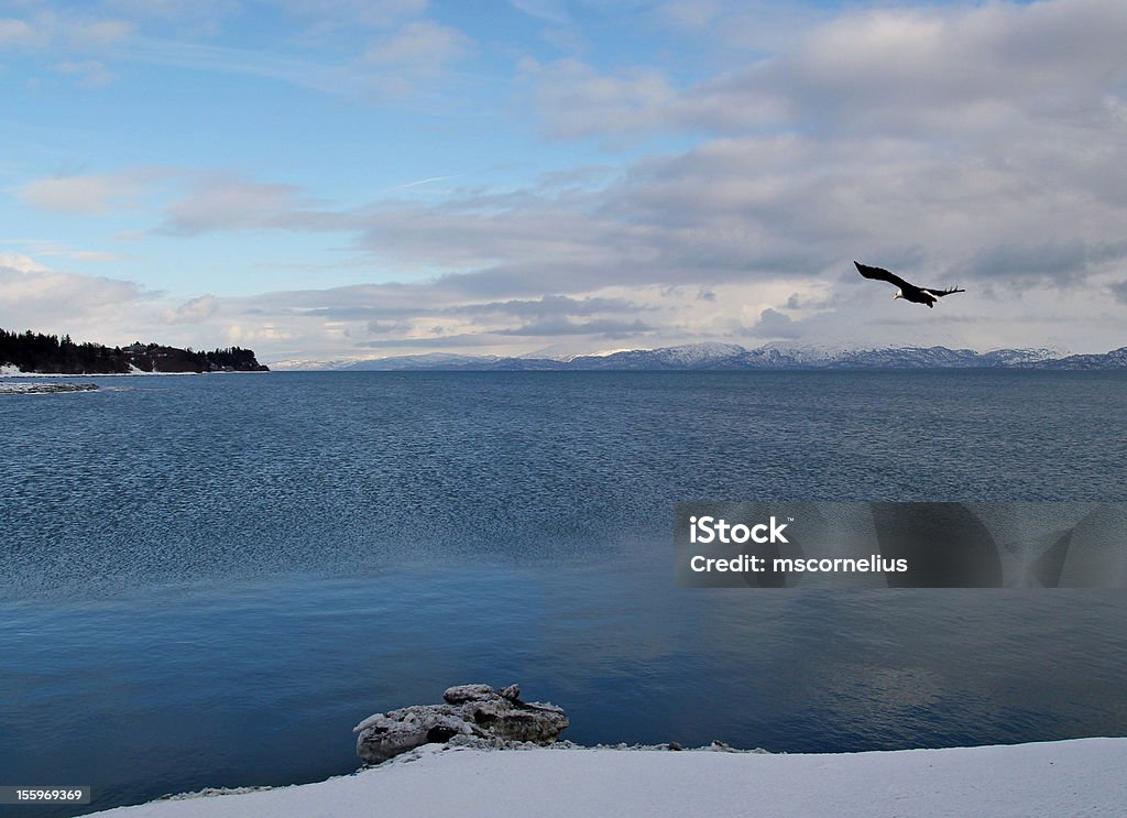 Vista da Baía com eagle no Inverno - Royalty-free Alasca Foto de stock