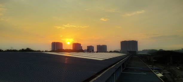 istock Morning on the roof 1559698997