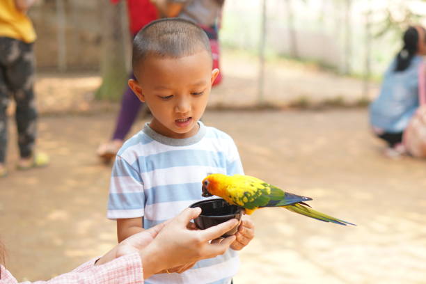 istock mother and son feeding birds on holiday 1559700572