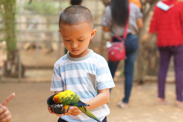 The parrots love each other