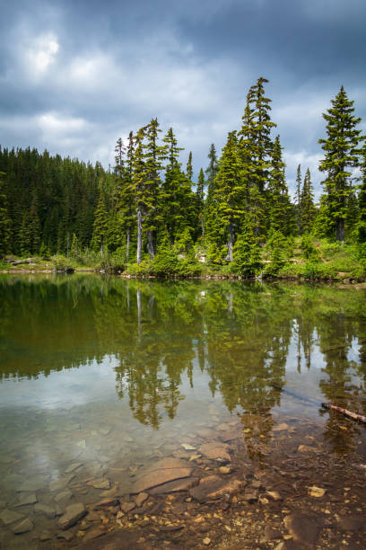 istock Strathcona Provincial Park, Vancouver Island Wilderness Area 1559700933