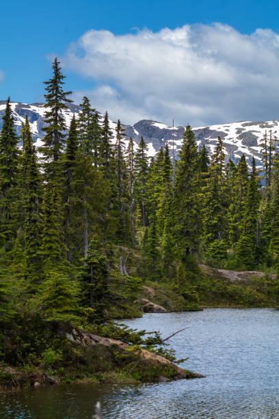 istock Strathcona Provincial Park, Vancouver Island Wilderness Area 1559700935