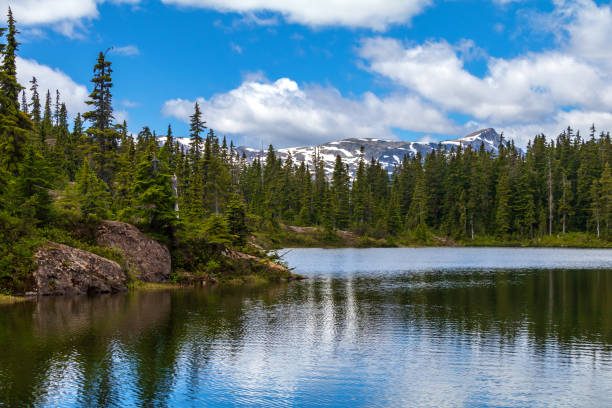 Strathcona Provincial Park, Vancouver Island Wilderness Area