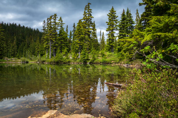 istock Strathcona Provincial Park, Vancouver Island Wilderness Area 1559700942