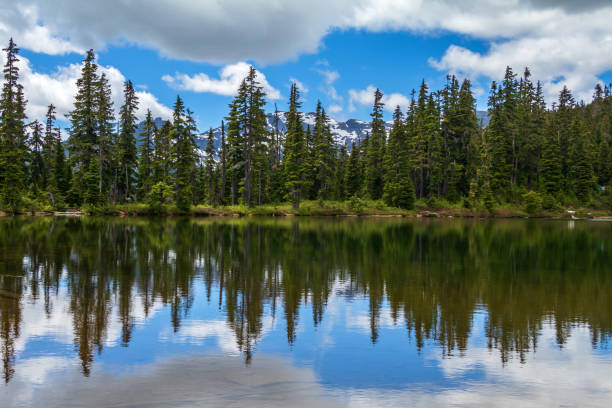 istock Strathcona Provincial Park, Vancouver Island Wilderness Area 1559700944
