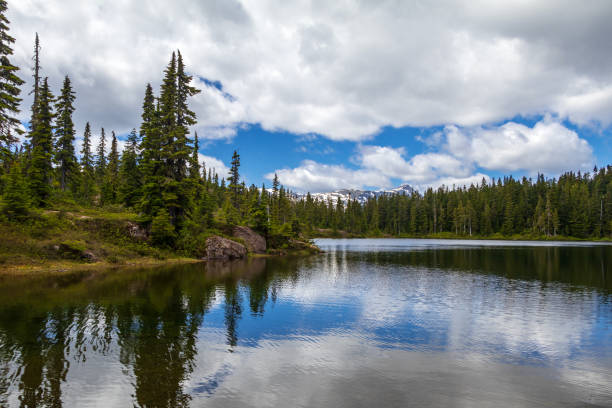 istock Strathcona Provincial Park, Vancouver Island Wilderness Area 1559700948