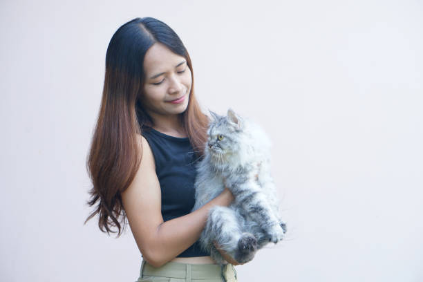 istock Woman smiling happily holding a gray cat 1559701640