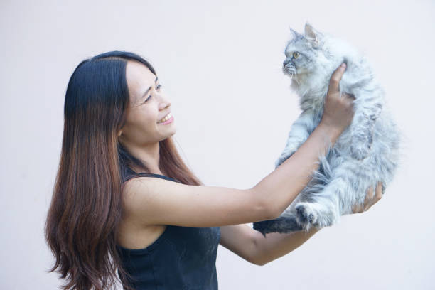 istock Woman smiling happily holding a gray cat 1559701642