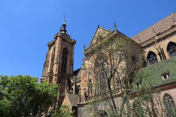istock Colmar - Saint Martin collegiate church 1559713910