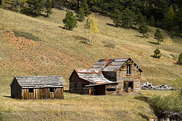 istock Abandoned Colorado Homestead 155974543
