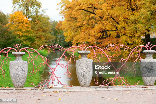 Beautiful Bridge Grill In Pushkin Saintpetersburg Stock Photo - Download Image Now