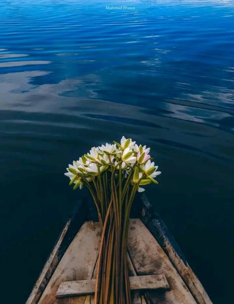 Many water liny in the boat