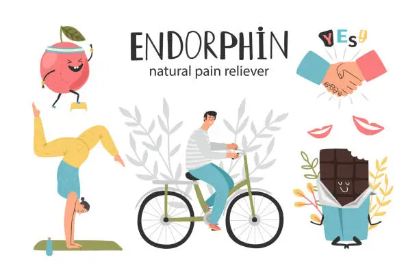Vector illustration of Natural pain reliever, endorphin hormone health colorful vector illustration