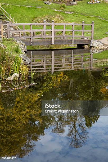 Reflexionen Auf Einem Teich Auf Der Brücke Und Bäume Stockfoto und mehr Bilder von Baum