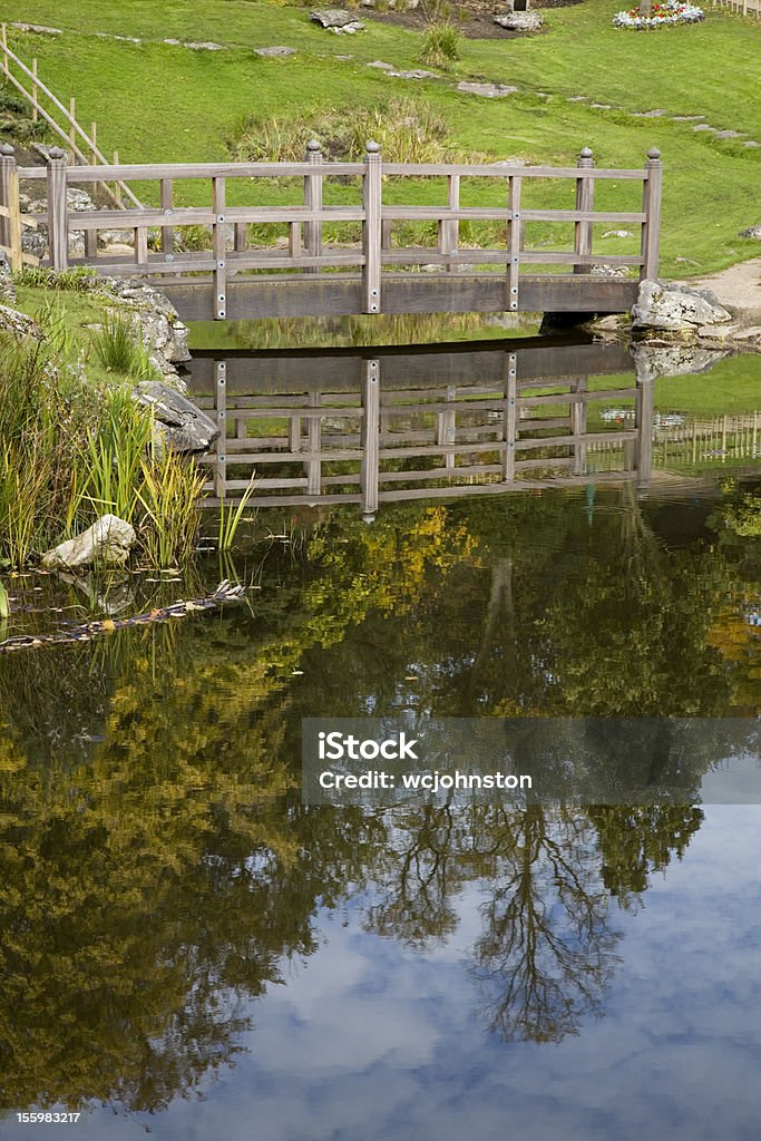 Reflets sur un étang du pont et arbres - Photo de Arbre libre de droits