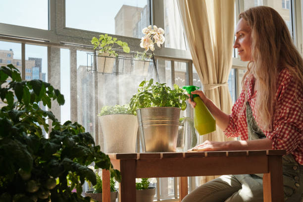 istock gardening, caring for plants on the balcony 1559852741