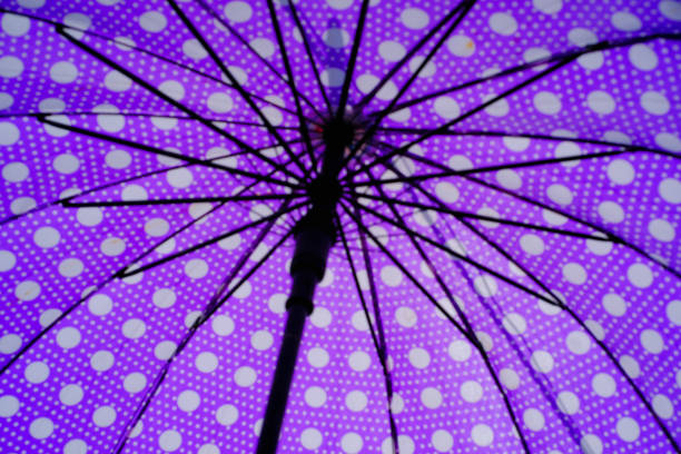 Young beautiful Muslim woman standing with an umbrella in front of a blue wall on the street.