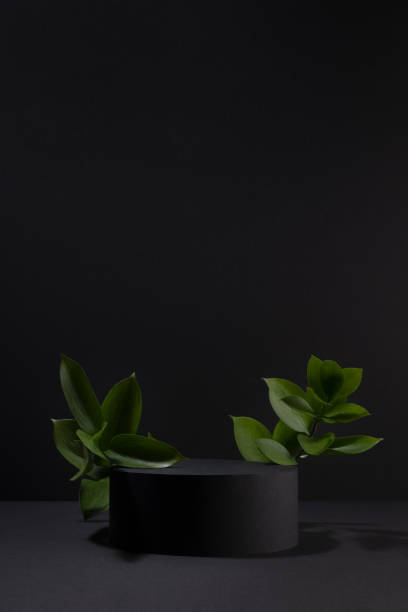 istock Black abstract stage with one circle podium mockup, fresh tropical green leaves, template for presentation cosmetic products, goods, design, advertising, sale, in fashion rich summer style, vertical. 1559919018
