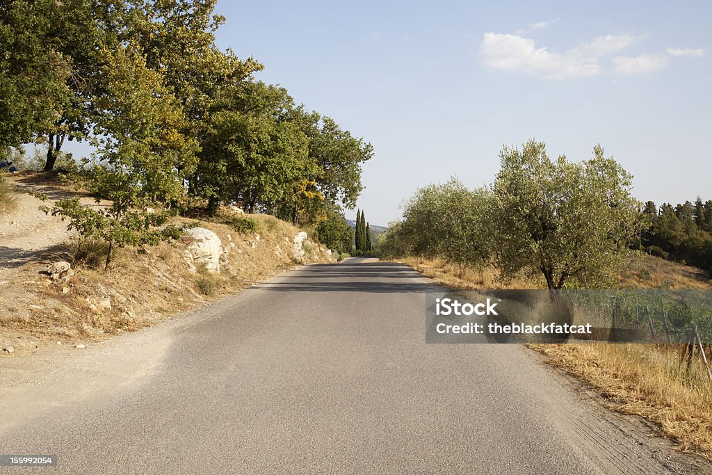 Estrada na Toscana - Royalty-free Agricultura Foto de stock