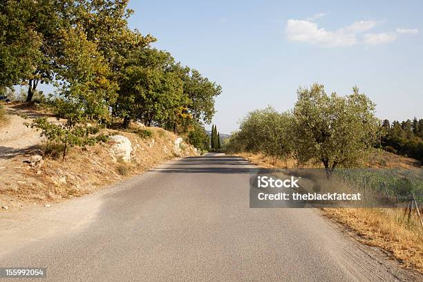 Estrada Na Toscana - Fotografias de stock e mais imagens de Agricultura - Agricultura, Amarelo, Animal