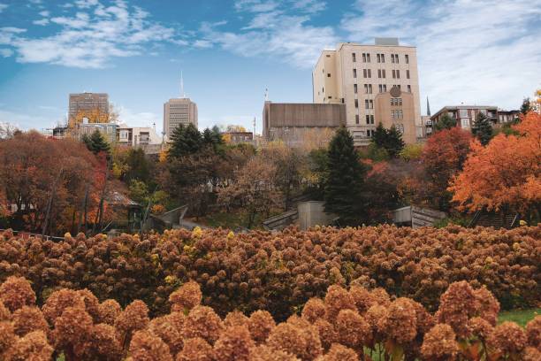 istock Fall view from a park in Quebec City with fallen leaves and orange trees. 1559933575
