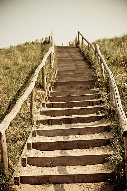 istock Stairs to the top of a dune 155996214