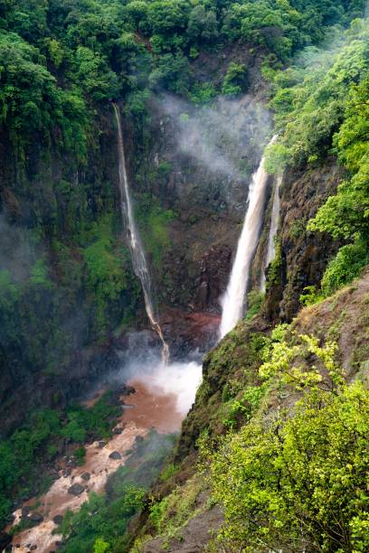 istock Vertical of a waterfall cascading down a rock covered with greenery 1559962346