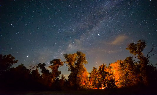 camp fire on night forest glade under milky way