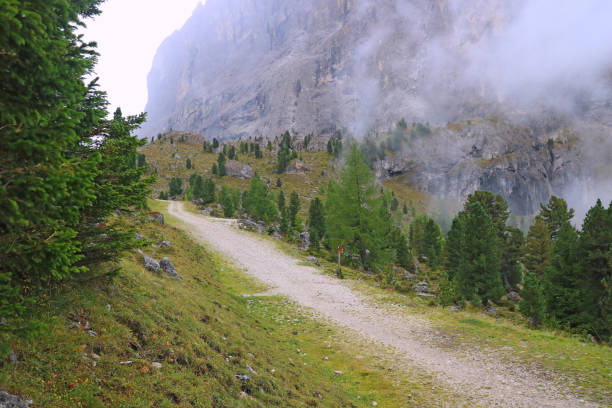 istock Mountain trail for walking. Misty autumn morning. Selective focus. 1559973631