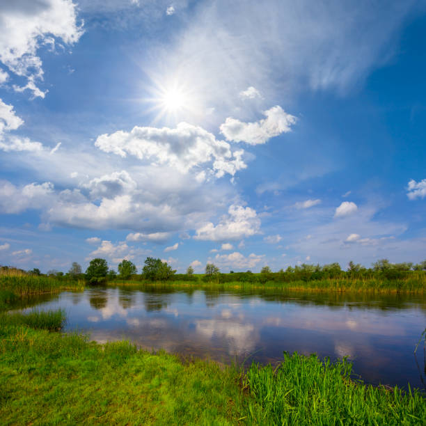 istock small calm river at summer sunny day, beautiful summer countryside landscape 1559976355