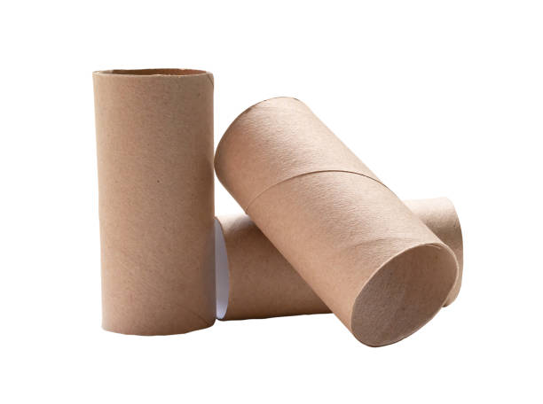 istock Short tissue paper cores in stack isolated on white background with clipping path. 1559977486