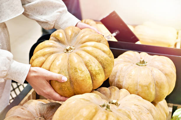 istock Pumpkins in hands of buyer 1559979711