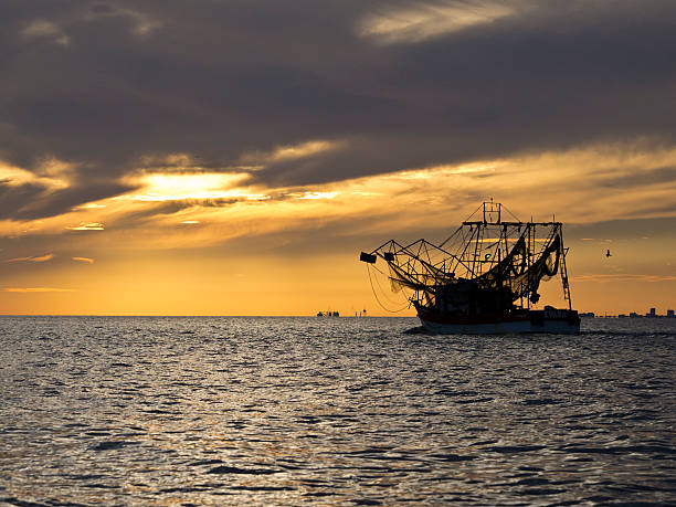 istock Gulf Coast Shrimping Boat Leaving Port 155999957