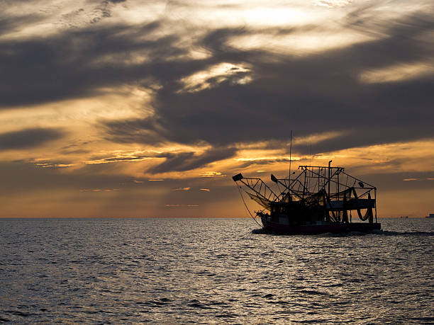 Gulf Coast Shrimping barco ao pôr-do-sol - foto de acervo