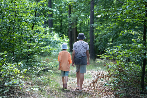 istock Young Boys walking in the forest 1560008831