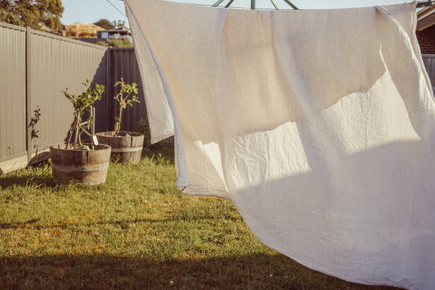 istock sheet on the clothesline 1560011505