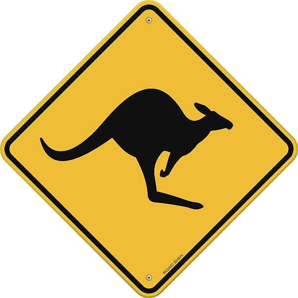 High Detail Kangaroo Sign Classic Australian Yellow Sign with Kangaroo danger information made till the last tiny detail. Fully scalable and easy to edit. EPS version 10 with transparency and AI CS5 included in download. kangaroo stock illustrations