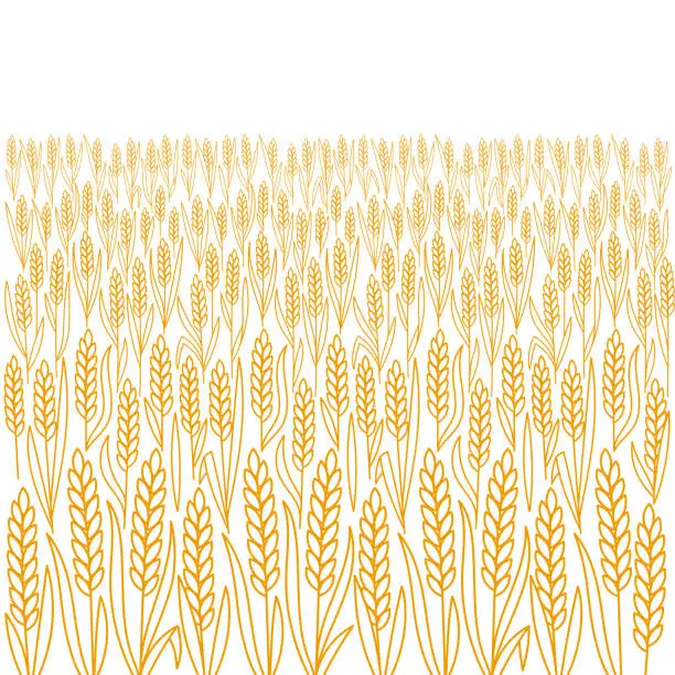 Vector illustration of Barley field. Ears of barley. Vector line. Editable outline stroke.