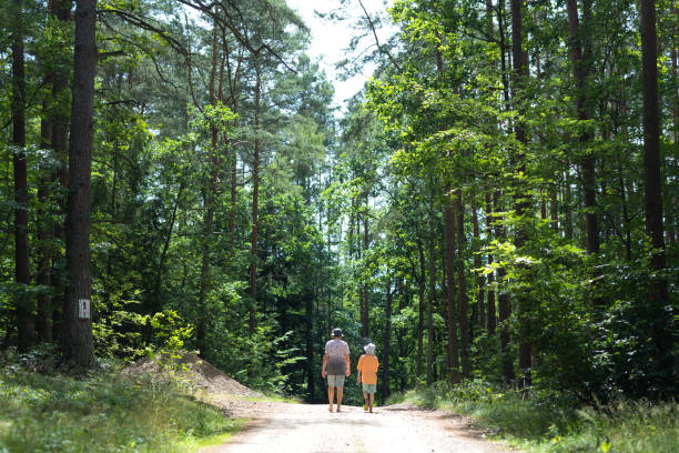 istock Young Boys walking in the forest 1560028881