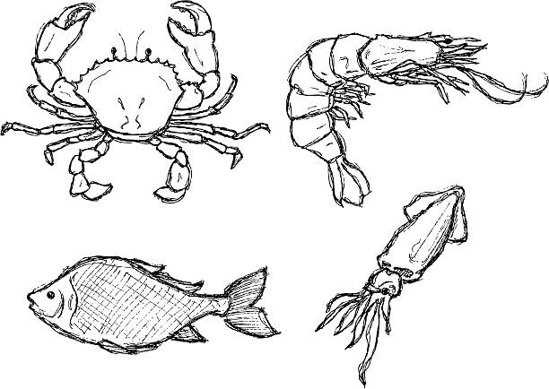 Scribble Series - Seafood vector art illustration