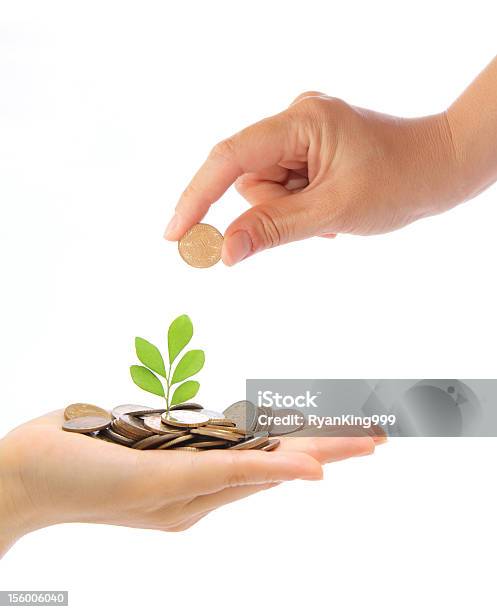 Hand Und Grüne Pflanze Wächst Aus Der Münzen Stockfoto und mehr Bilder von Ast - Pflanzenbestandteil - Ast - Pflanzenbestandteil, Bank, Bankgeschäft