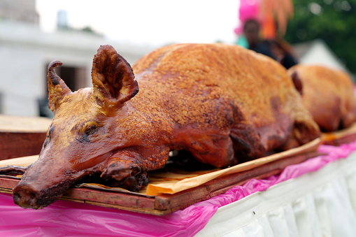 A big whole roasted pig is ready to be served at the buffet