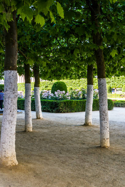 istock Trees in a public garden 1560080000