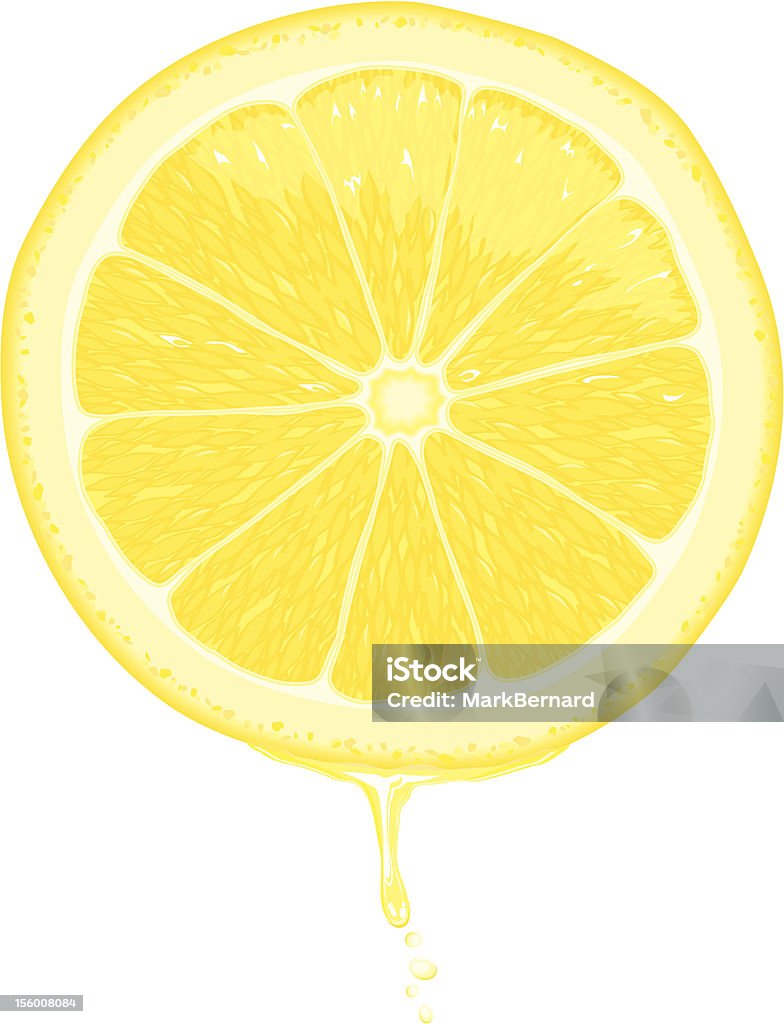 레몬 슬라이스 - 로열티 프리 감귤류 과일 벡터 아트
