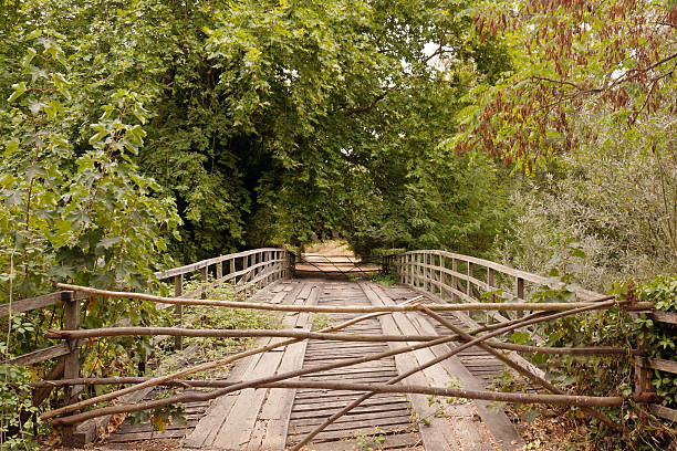wooden bridge against trees and falling leaves