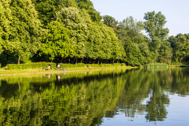istock Public green space, Belgium 1560084323