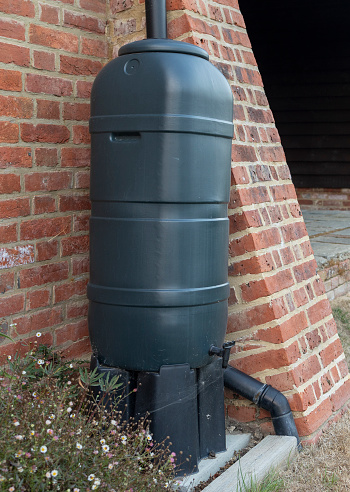A green rain barrel to collect rainwater and reusing it to water the plants and flowers in a backyard