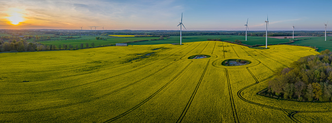 Landscape of rapeseed field with a group of wind turbines, spinning rapidly in the wind. Raps field with blooming bright yellow flowers with a line of forest trees. Flakes with little vegetation.
